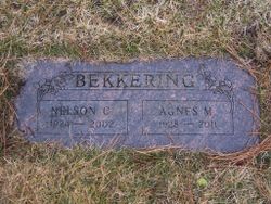 Agnes M Bekkering 