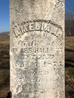 Amelia A. <I>Ordway</I> Hallett 