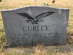 Curley 
