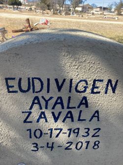 Eudivigen <I>Ayala</I> Zavala 
