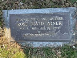 Rose David <I>Winer</I> Levin 