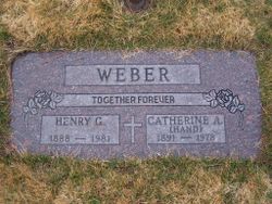Henry Gabriel Weber 