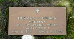 Herman J Bouma 