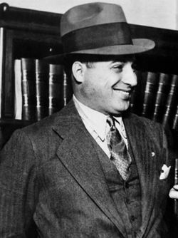 Ralph James Capone 