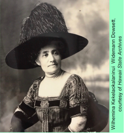 Wilhelmine Kekelaokalaninui <I>Widemann</I> Dowsett 
