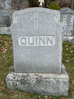 Quinn 