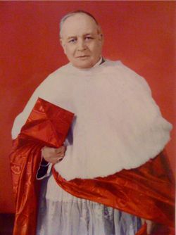 Cardinal Efrem Forni 