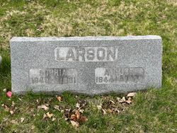 August Larson 