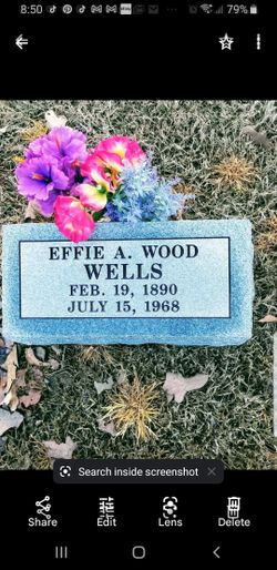 Effie Ann <I>Wood</I> Wells 