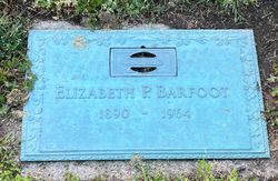 Mary Elizabeth “Lizzie” <I>Parkinson</I> Barfoot 