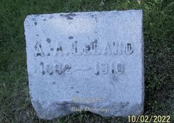 Albert Adams Leland 