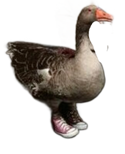 Andy The Goose 