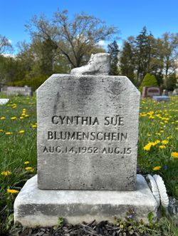Cynthia Sue Blumenschein 