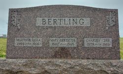 Mary Gertrude <I>Schultz</I> Bertling 