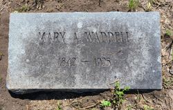 Mary Ann <I>Forbes</I> Waddell 