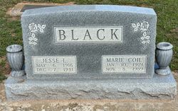 Alice Marie <I>Coil</I> Black 