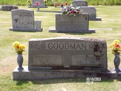 Aminda Ann <I>Hays</I> Goodman 