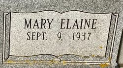 Mary Elaine <I>Rice</I> Adkins 