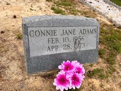 Connie Jane Adams 