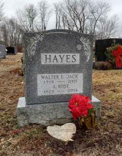 Walter Edward Hayes 