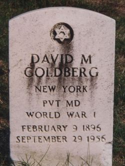 David M Goldberg 