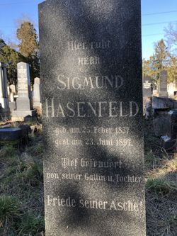 Sigmund Hasenfeld 