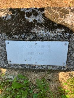Dorothy Numer 