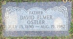 David Elmer Ostler 