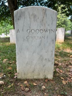 A Goodwin 