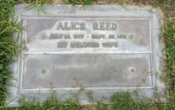 Alice Reed 