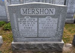 Samuel Mershon 