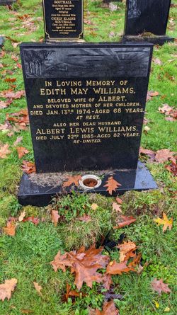 Albert Lewis Williams 