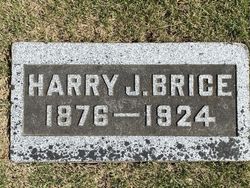 Harry J. Brice 