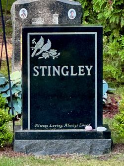Stingley 