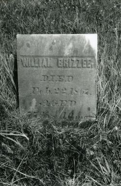 William Brizzee 