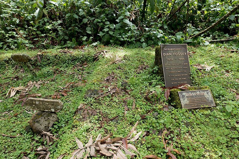 Gorilla Cemetery at Karisoke Research Station