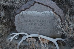 James Forrest Anderson 