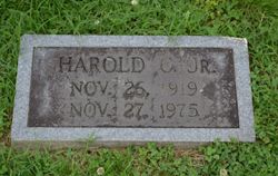 Harold Crockett Guy Jr.