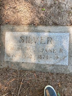 Nancy Jane Silver 