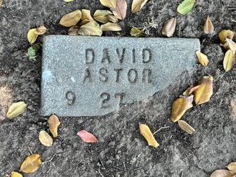 David Astor 