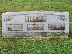 Harry Homer Hawk 