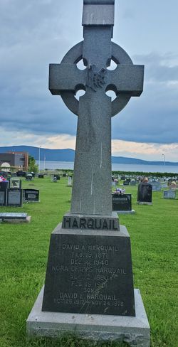 David E. Harquail 