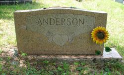 Astor Lee Anderson 