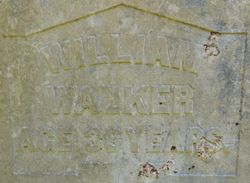 William Hauk Walker 