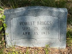 Rowlet Briggs 