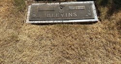 Ronald Terry Blevins 