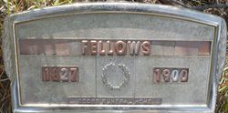 Fellows 