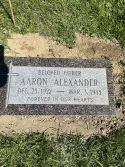 Aaron Alexander 