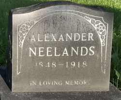Alexander Neelands 