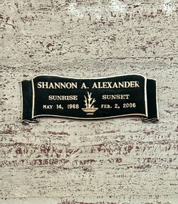 Shannon A Alexander 
